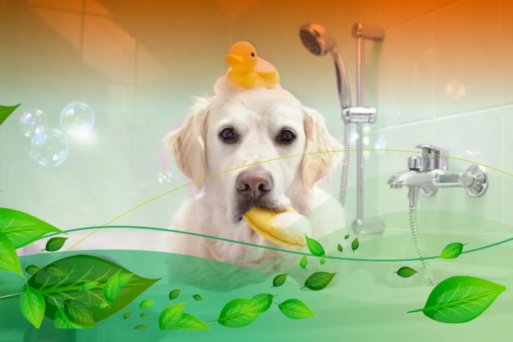 perro usando champú natural